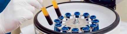 stem cell technology